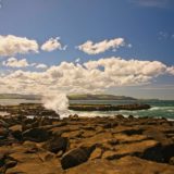 Wild Coast in Catlins