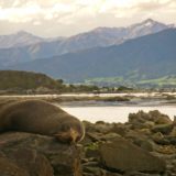 Kaikoura